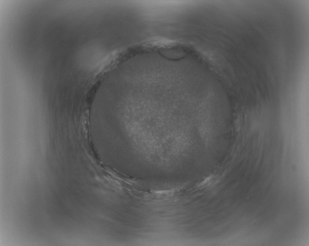 X0000061761397200512161731