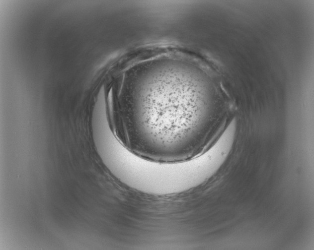 X0000061761398200512161731