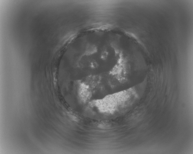 X0000061761399200512161731