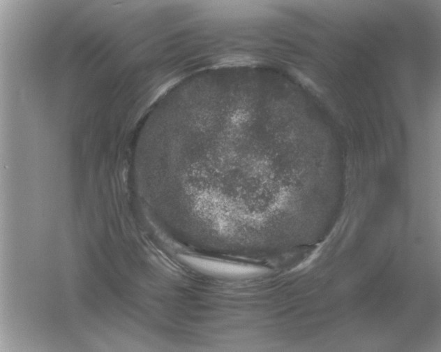 X0000061761401200512161731