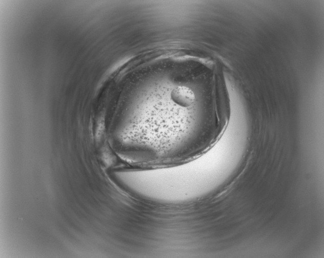 X0000061761402200512161731