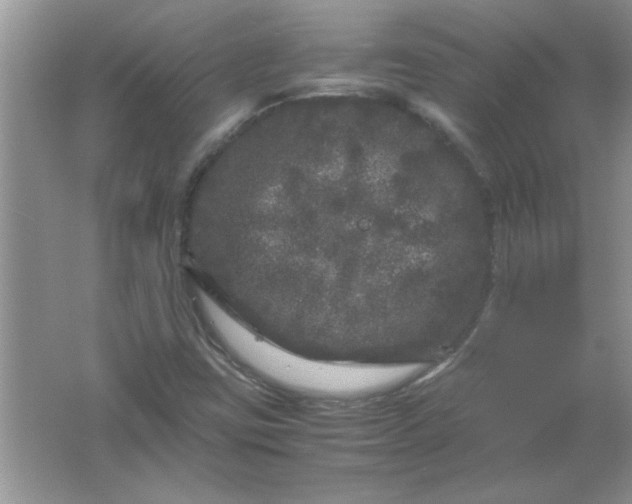 X0000061761403200512161731