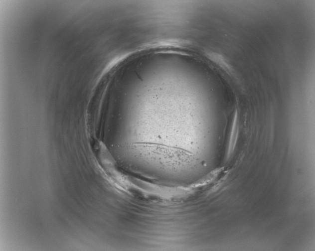 X0000061761404200512161731