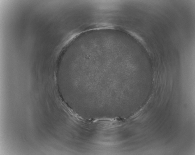 X0000061761407200512161731