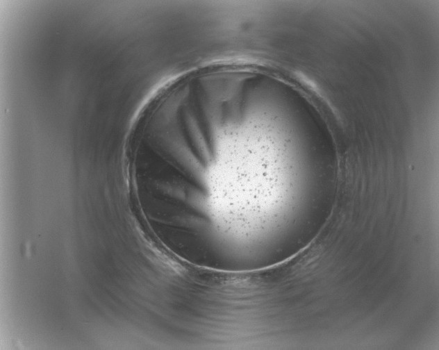 X0000061761408200512161731