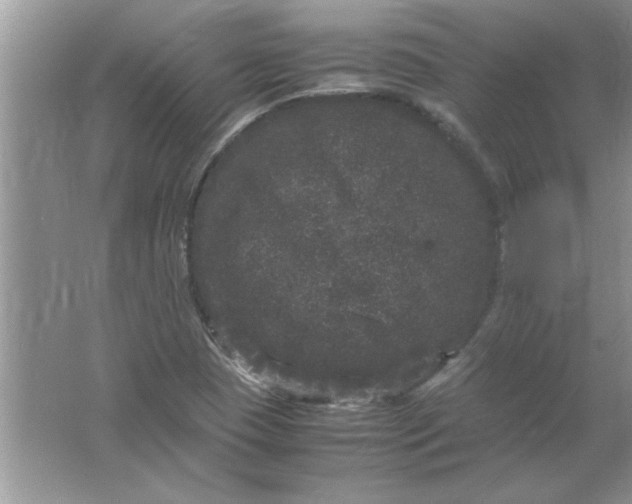 X0000061761409200512161731