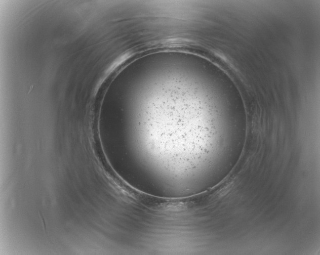 X0000061761410200512161731