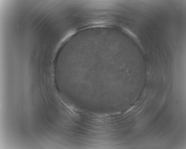 X0000061761411200512161731