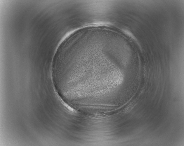 X0000061761412200512161731