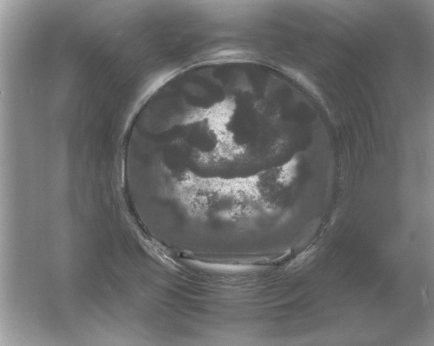 X0000061761413200512161731