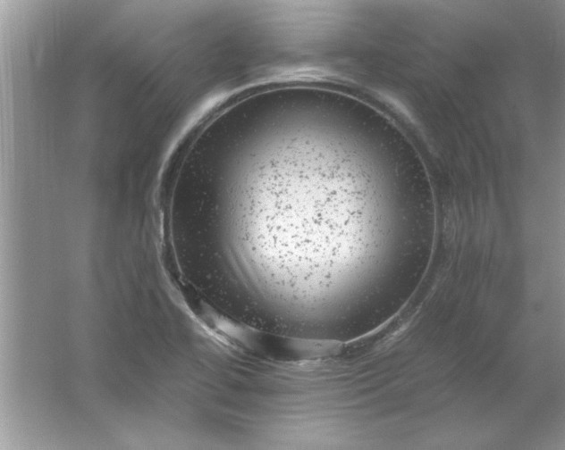 X0000061761414200512161731