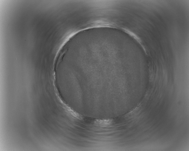 X0000061761415200512161731