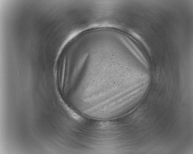 X0000061761416200512161731