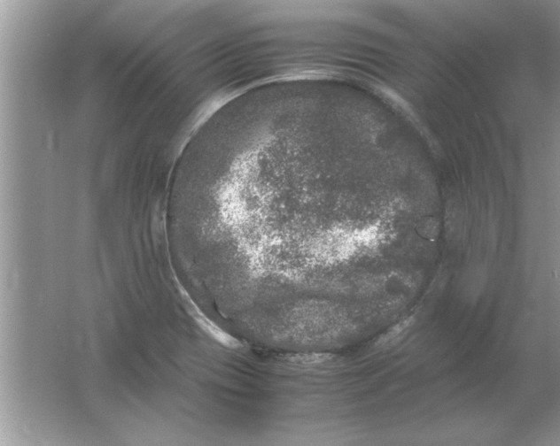 X0000061761417200512161731