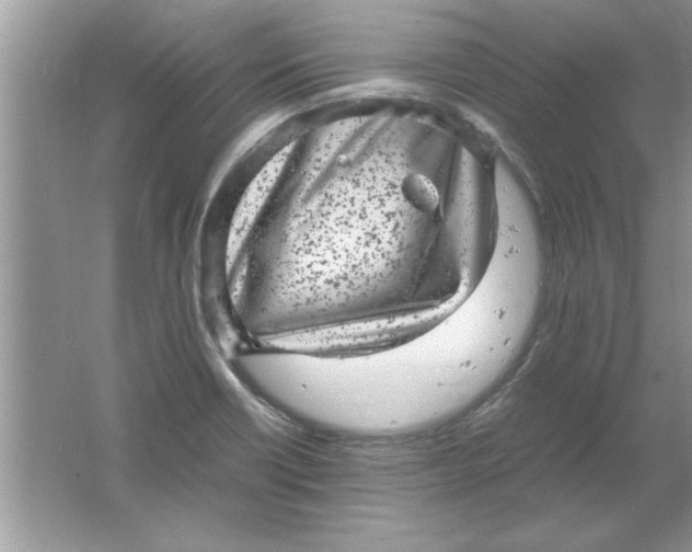 X0000061761418200512161731