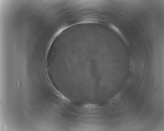 X0000061761419200512161731