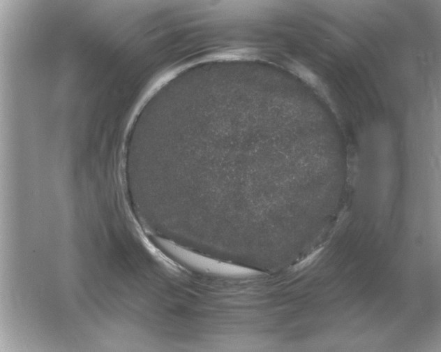 X0000061761421200512161731