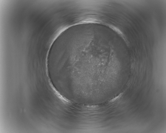 X0000061761423200512161731