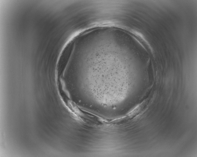 X0000061761424200512161731