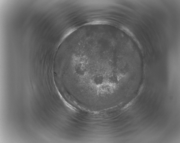 X0000061761425200512161731