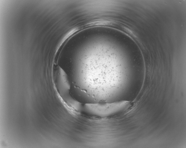 X0000061761426200512161731