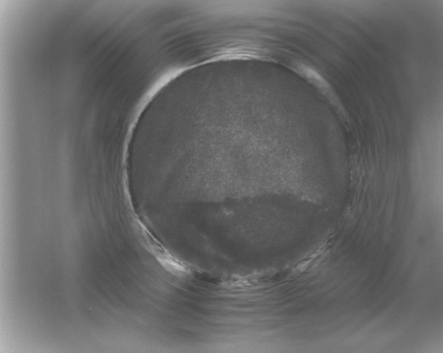 X0000061761427200512161731