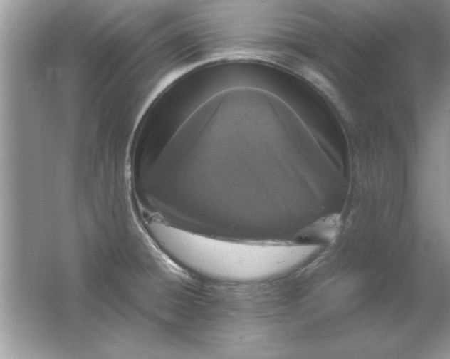 X0000061761428200512161731