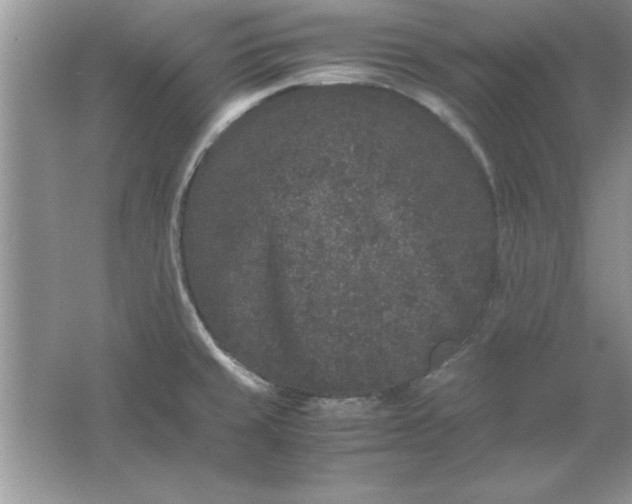 X0000061761429200512161731