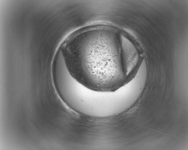 X0000061761430200512161731