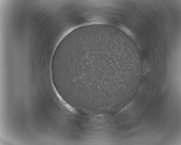 X0000061761431200512161731