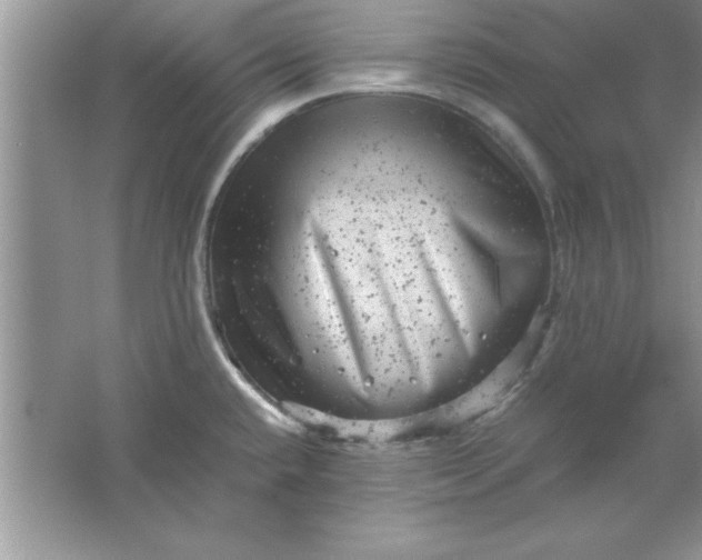 X0000061761432200512161731