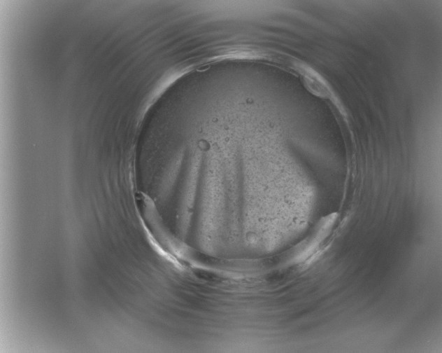 X0000061761433200512161731