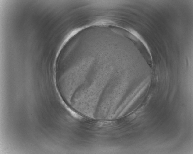 X0000061761437200512161731