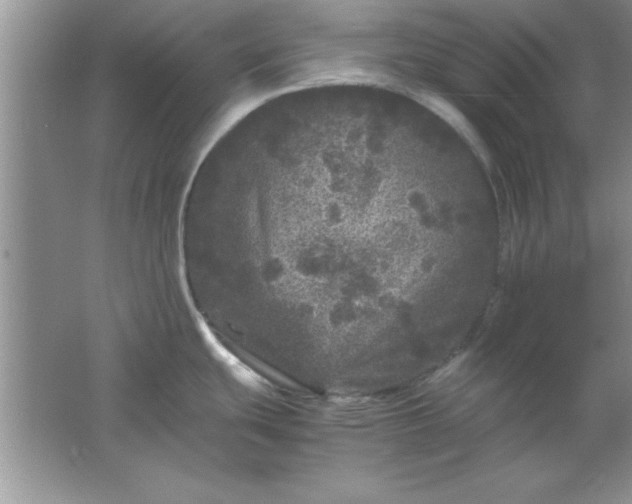 X0000061761439200512161732