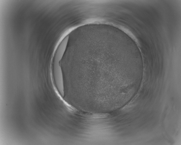 X0000061761440200512161732