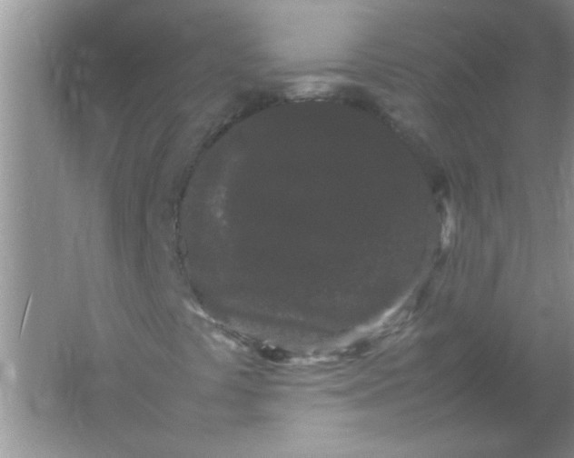 X0000061761441200512161731