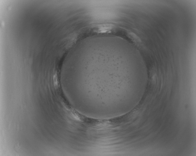 X0000061761442200512161731