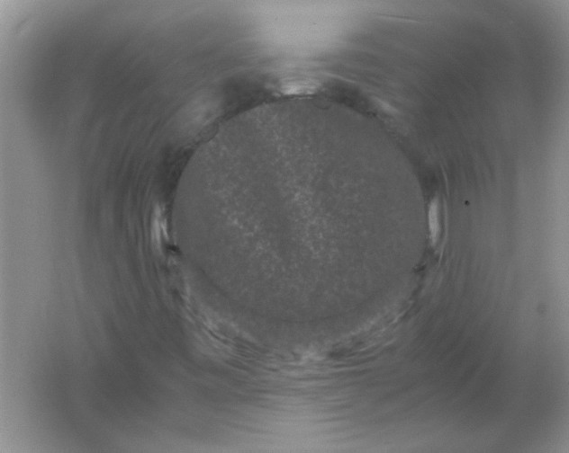 X0000061761443200512161731