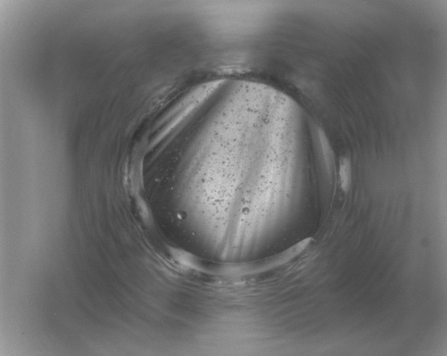 X0000061761444200512161731