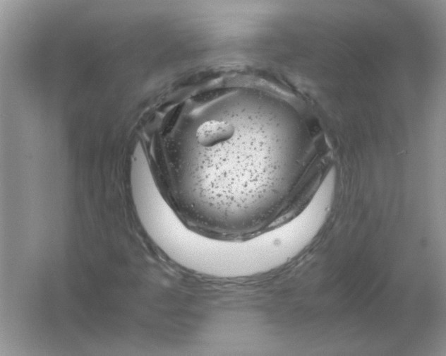 X0000061761445200512161731