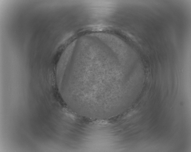 X0000061761446200512161731