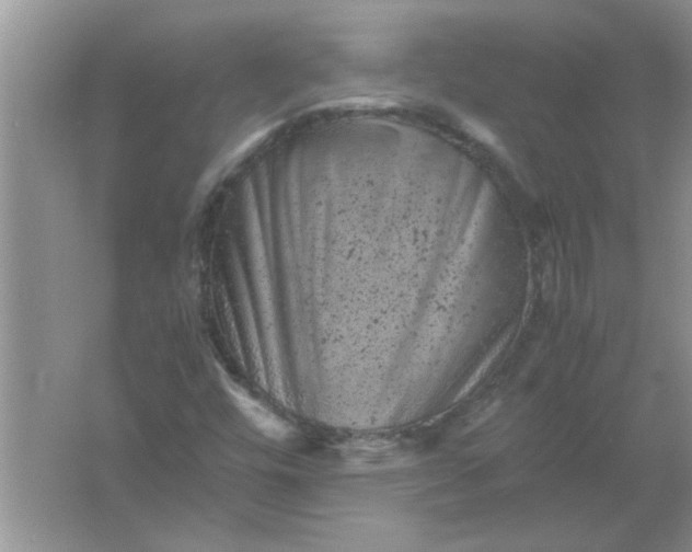 X0000061761448200512161731