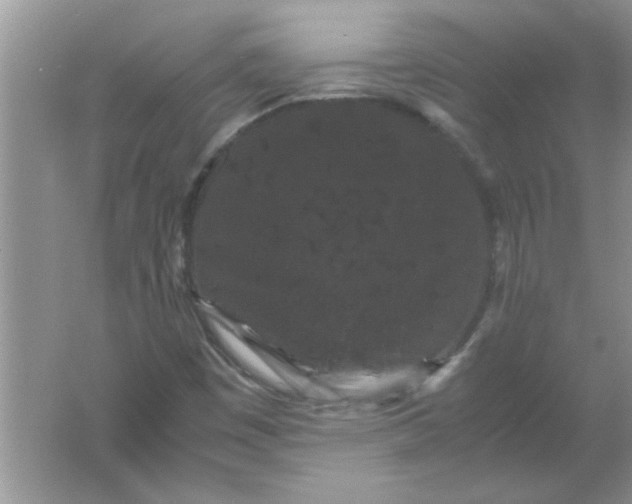 X0000061761449200512161731