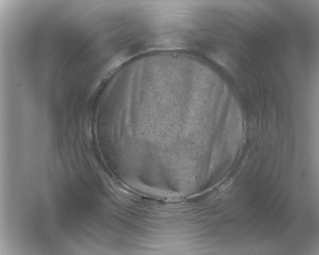 X0000061761451200512161731