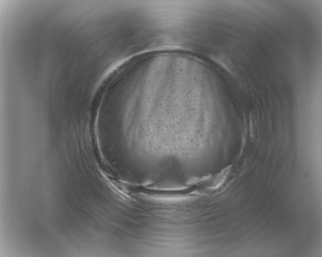 X0000061761452200512161731