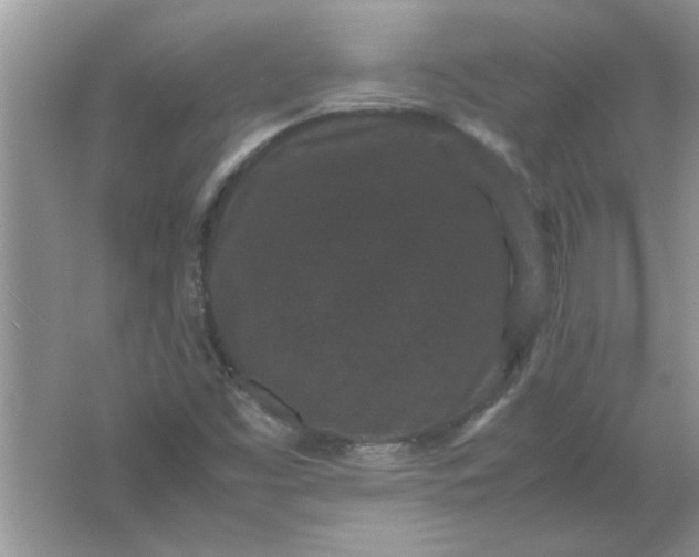 X0000061761453200512161731