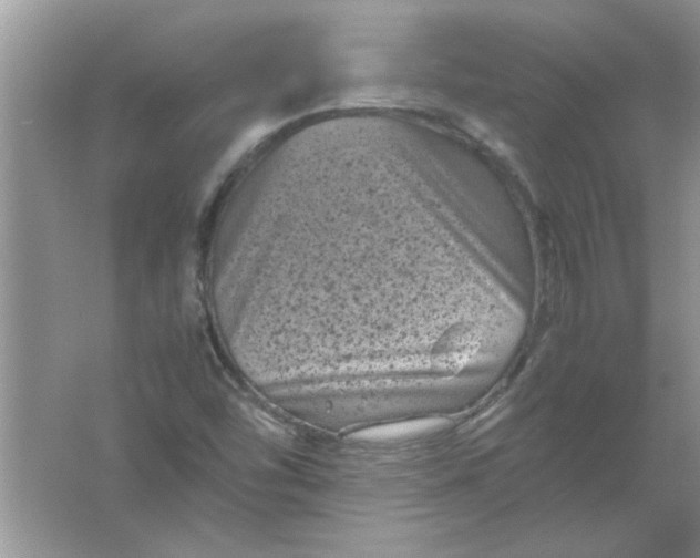 X0000061761454200512161730