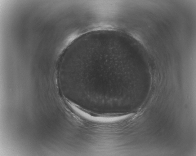 X0000061761455200512161730