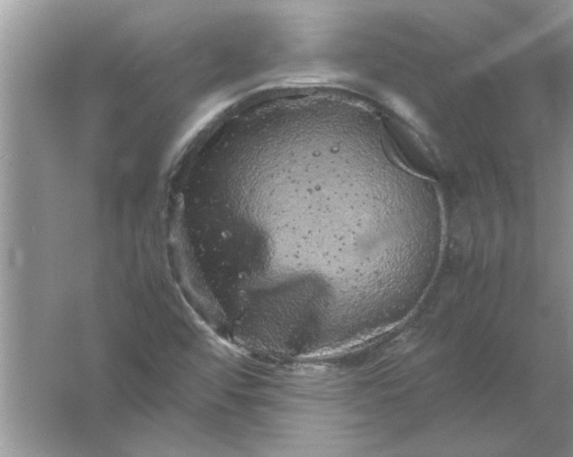 X0000061761456200512161730