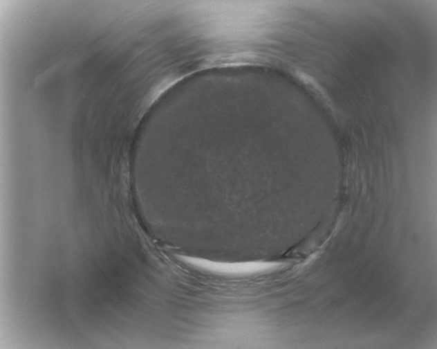 X0000061761457200512161730